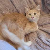 Thumbnail photo of Gilly #3