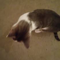 Thumbnail photo of Lanie #2