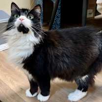 Thumbnail photo of Stormi #3