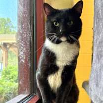 Thumbnail photo of Soup Curry #2