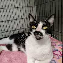 Thumbnail photo of Heather #2