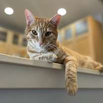 Thumbnail photo of Korben #1