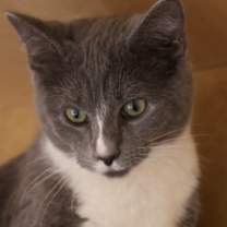 Thumbnail photo of Russell #4