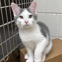 Thumbnail photo of Milton #2