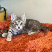 Thumbnail photo of Jimmy #1