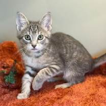 Thumbnail photo of Jimmy #3