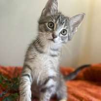 Thumbnail photo of Jimmy #4