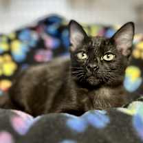 Thumbnail photo of Tiny #2