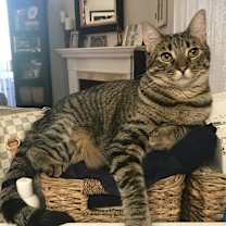 Thumbnail photo of Nara #4