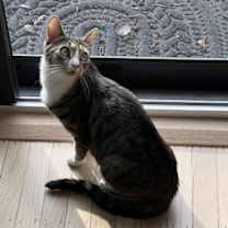 Thumbnail photo of Skyanna #3