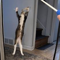 Thumbnail photo of Skyanna #4