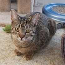 Thumbnail photo of Reese and Ruby #4