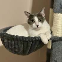 Thumbnail photo of Nellie #1