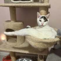 Thumbnail photo of Iverson #4