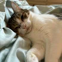 Thumbnail photo of Princess #1