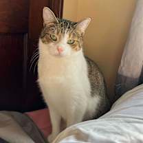 Thumbnail photo of Princess #2