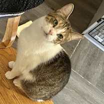 Thumbnail photo of Princess #3