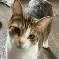 Thumbnail photo of Princess #4