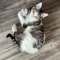 Thumbnail photo of Charlotte  #1