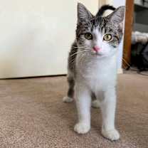 Thumbnail photo of Charlotte  #2