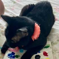 Thumbnail photo of Ms Mia Black #3