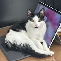 Thumbnail photo of Flora #1