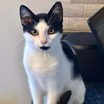 Thumbnail photo of Flora #2