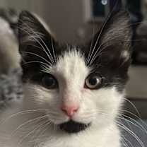 Thumbnail photo of Flora #3