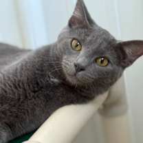 Thumbnail photo of Jasper #1