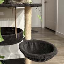 Thumbnail photo of Susie #4