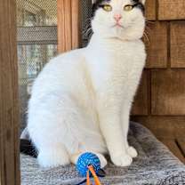 Thumbnail photo of Elaine #4