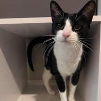 Thumbnail photo of Dollar #1