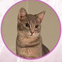 Thumbnail photo of Herbie #2