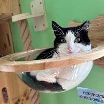 Thumbnail photo of Wally #1