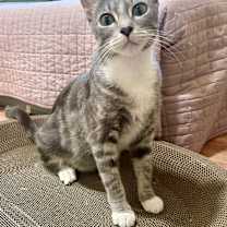 Thumbnail photo of Natalia #4