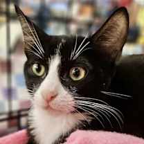 Thumbnail photo of Titan and Gerard #2