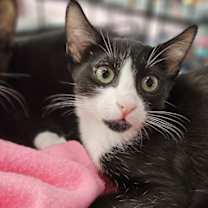 Thumbnail photo of Titan and Gerard #3