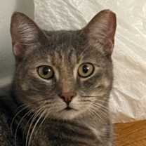 Thumbnail photo of Sophie #1