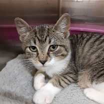 Thumbnail photo of Billy #1