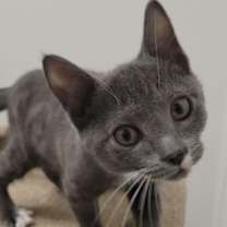 Thumbnail photo of Clam Chowder #2