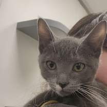 Thumbnail photo of Clam Chowder #4