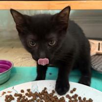 Thumbnail photo of Damita #4