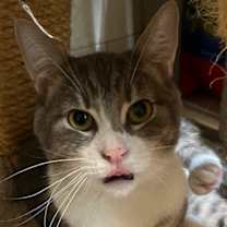 Thumbnail photo of Marley #2