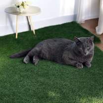 Thumbnail photo of Shake #3