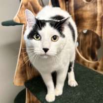 Thumbnail photo of Diego #3