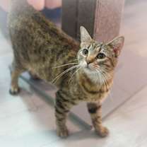 Thumbnail photo of Sugar #4