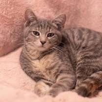 Thumbnail photo of Boba #3