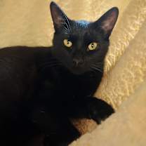 Thumbnail photo of Jig #3