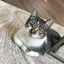 Thumbnail photo of Effie #1