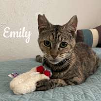 Thumbnail photo of Emily #2